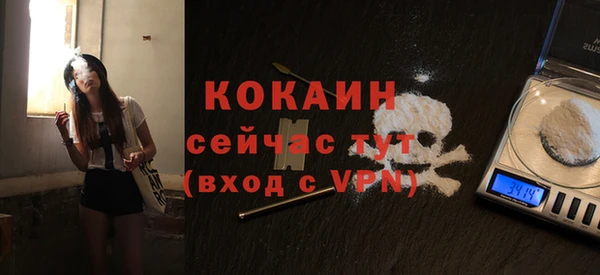 метадон Богданович