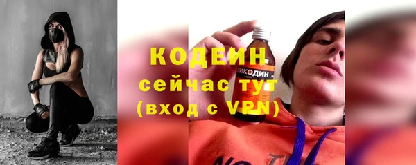 сатива Богородицк