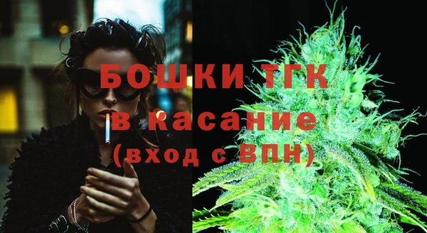 сатива Богородицк