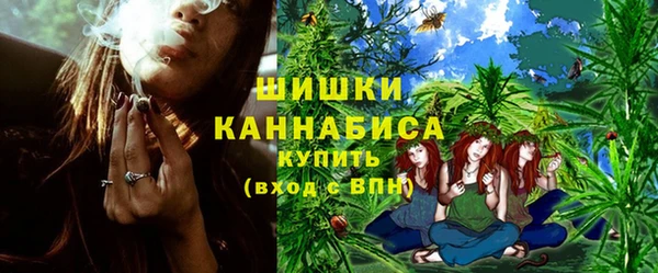 метадон Богданович
