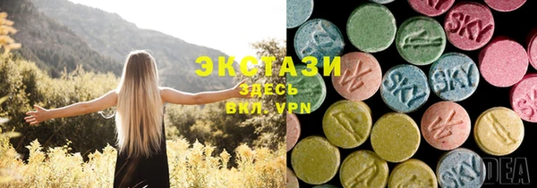 метадон Богданович