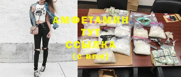 метадон Богданович