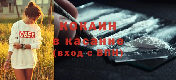 сатива Богородицк