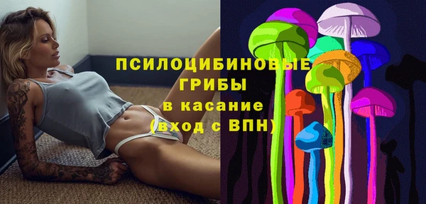 метадон Богданович