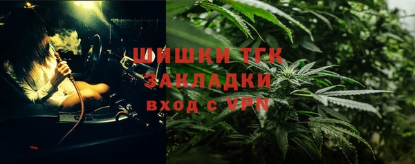 метадон Богданович