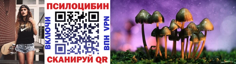 Купить закладки  Кораблино  Галлюциногенные грибы мицелий 
